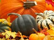 zucca