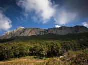 Immersione nella natura Sicilia