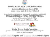 Fondo librario poesia contemporanea