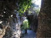 Nocelle: miraggi 2012