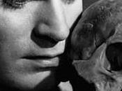 Preferenze preferenze? “porcellum” sembra tanto legge “porcata”