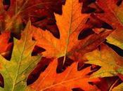 Autumn here!