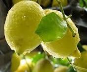dieta limone eliminare grassi tossine!