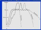 Antologia della clitoride parte donne clitoridee vaginali