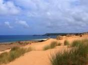 Arbus Pistis allarme amianto Chilometri spiaggia residui sparsi sulle dune