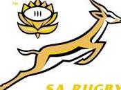 Rugby Championship: Springbocks l'Australia