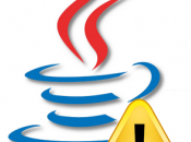 Java falla troppo computer rischio!