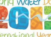 2013 Anno Internazionale della Cooperazione l’Acqua