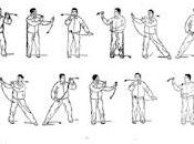 Considerazioni Quan 10/11: shou.