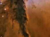 Nebulosa dell’Aquila