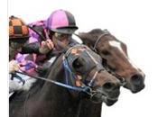 IPPICA: Come Fare!!!