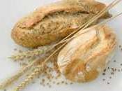 Dentro l'alimento: Segale