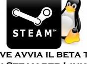 Steam Linux: Valve pronta cominciare test