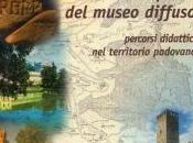 Bona: fantomatico Museo diffuso novità, basta cercare Google. stiamo realizzando l’itinerario sistema museale, oltre quello liutario musicale delle Piazze”