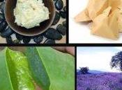 Crema pelli secche alla Lavanda