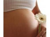 Fecondazione vitro, possibilità gravidanza embrioni congelati mese