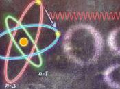 doodle Google scienziato Niels Bohr