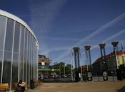 Hagberg, leader verdi Vingåker (Svezia) denuncia scie chimiche)