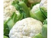 Cavoli broccoli prevengono davvero cancro: risultati dell’ultima ricerca italiana