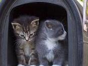 tardi essere gentili