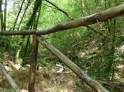 paesaggio diventa museo Excursion ANPIL