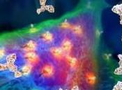 Simbologia Corni della Mano Cornuta