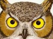 banche centrali stampano moneta tenere insieme sistema. funzionerà