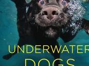 Underwater dogs