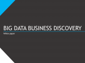 Data Business Discovery white paper sulla nuova infocube-less