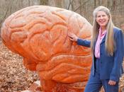 scoperta giardino della mente