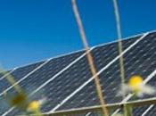 Energia Solare Rinnovabile: dalla Germania arrivano Robot Pannelli Fotovoltaici