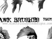 Free Hair Brushes Photoshop