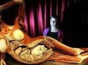 Body Worlds, mostra morti viventi