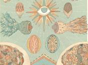 Patterns scientifico-surreali negli artworks katie scott