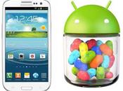 Samsung Galaxy aggiornamento ufficale Android Jelly Bean I9300XXDLJ1