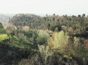vecchie immagini Pierino