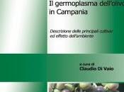 germoplasma dell'olivo Campania.