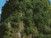 orrori postali: losing religion