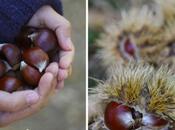 torta castagne