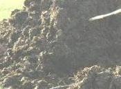 Batter giu' forte, senza paura..