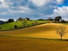 Vincoli paesaggistici, intesa Mibac Regione Toscana