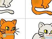 logica gatto