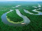 Deforestazione della foresta pluviale amazzonica: un'animazione