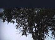 “Come l’aria” Melinda Nadj Abonji