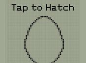 Hatchi