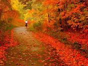 Tag: Love Fall!