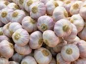 Salone Gusto ritorno dal)