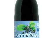 Aronia Melanocarpa