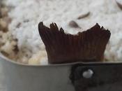 tecnica cuocere pesce sotto sale