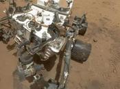 autoritratto Curiosity